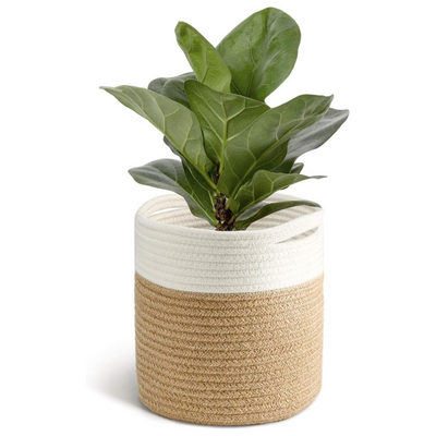 Jute Woven Basket (Jute Mixed White)