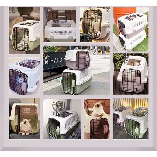 Pet Travel Carrier with Sky Window - Green