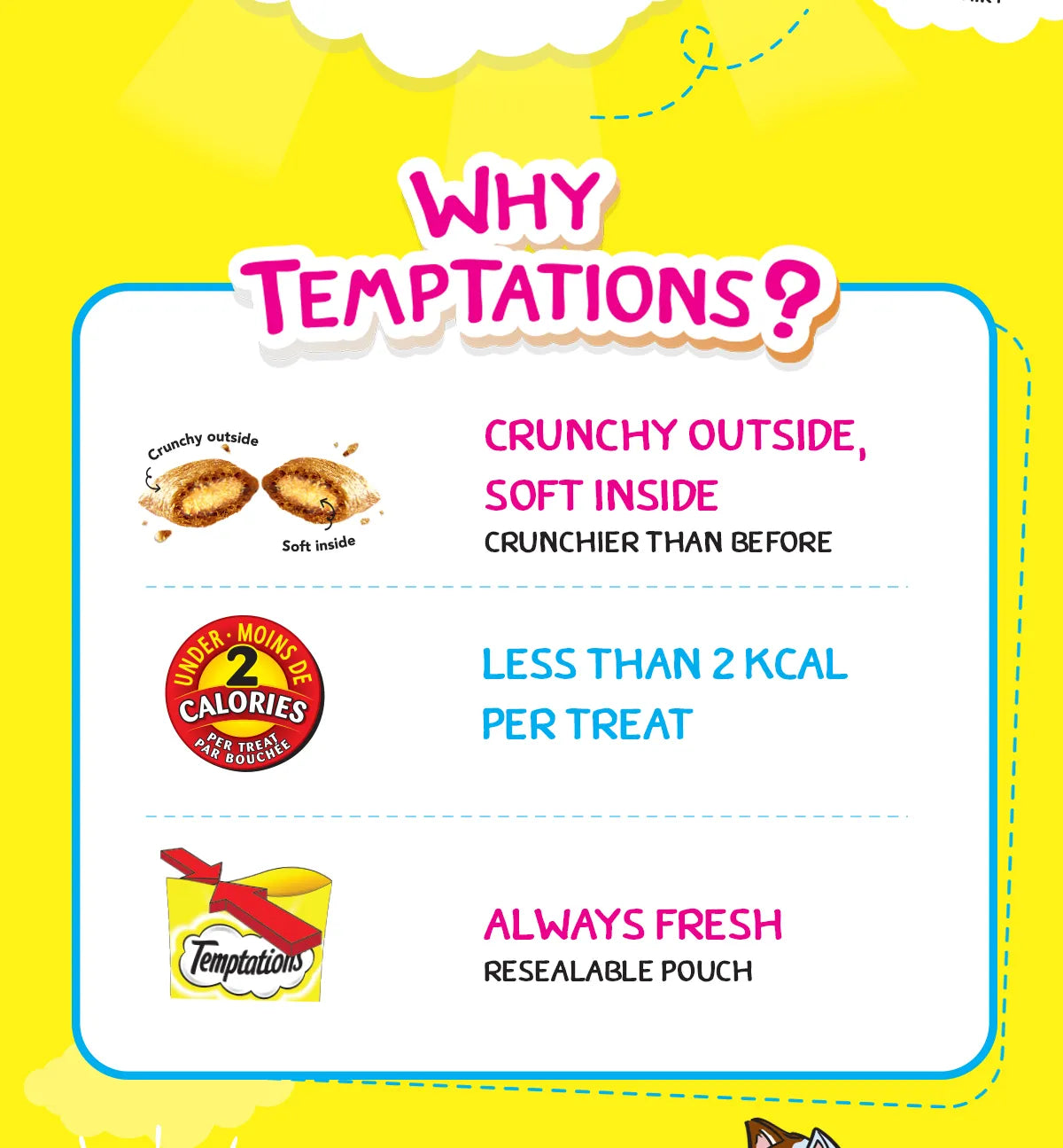 TEMPTATIONS Cat Treat Pocket Snack 75g