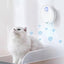 Cat Litter Box Odor Purifier