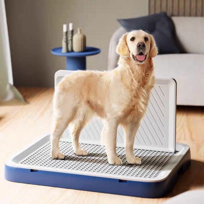 Training Pee Tray (With Guard)