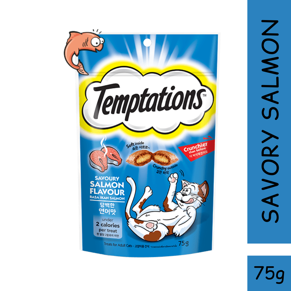 TEMPTATIONS Cat Treat Pocket Snack 75g