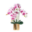 Artificial Pink Orchid (3/4 stalks) in Ceramic Gold Pot - (60cm)