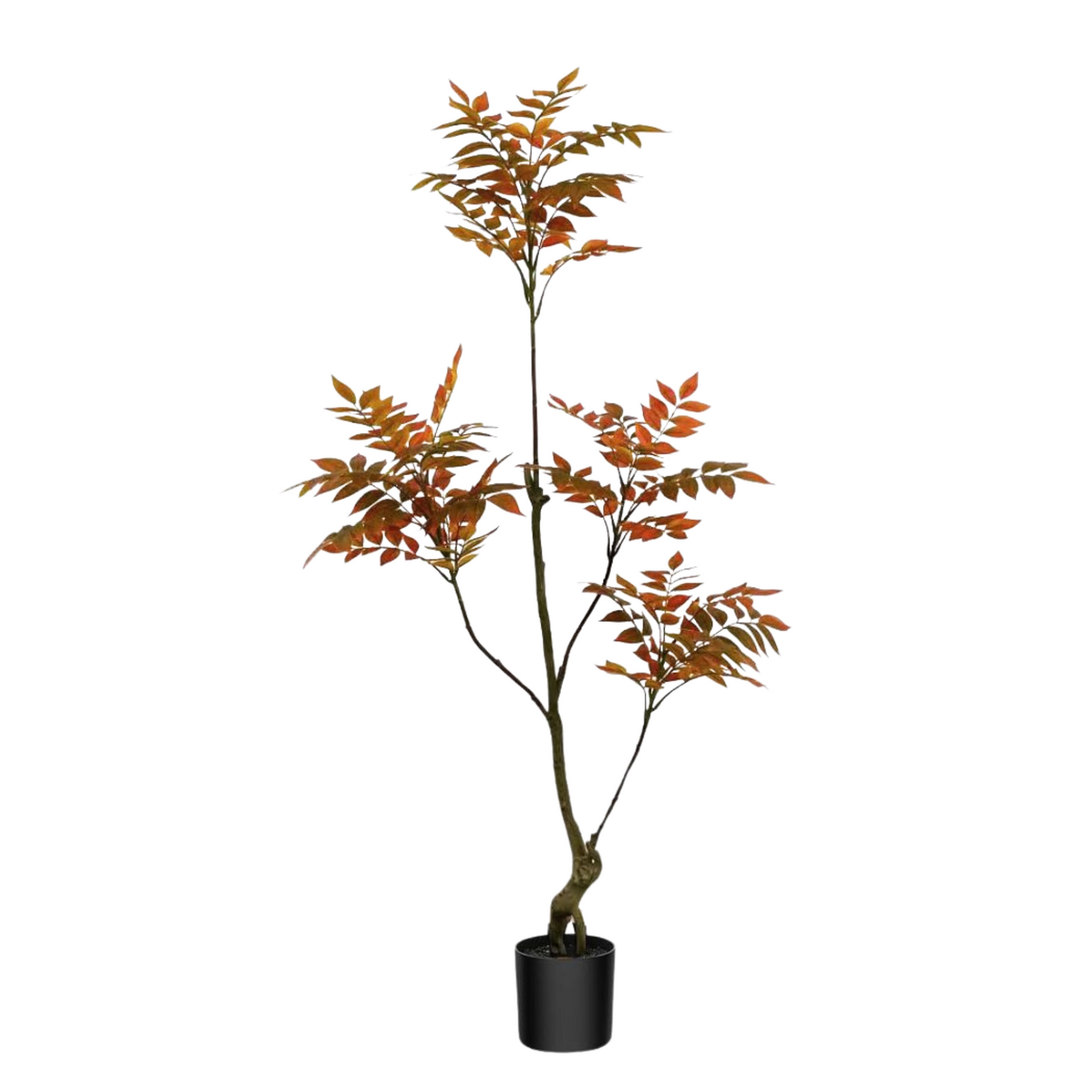 Artificial Toona Sinensis Plant (150cm)