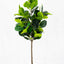 Artificial Fiddle Fig Plant 160cm