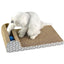 Toy Cat Scratching Board