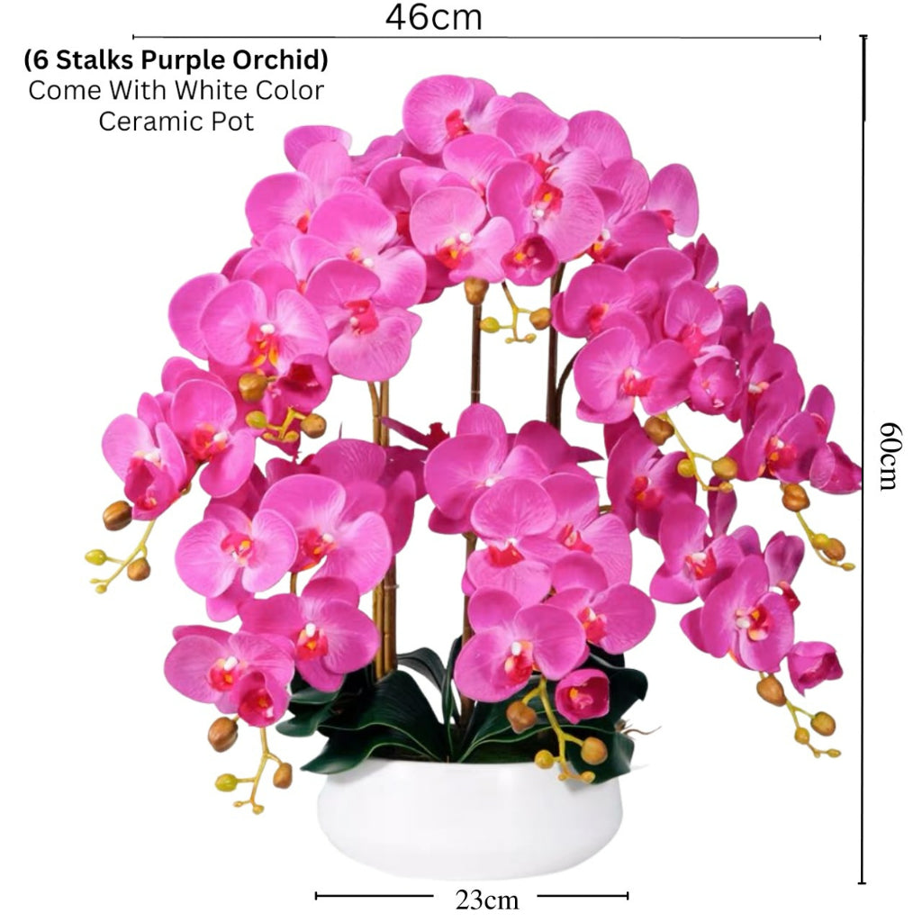 Artificial Orchid in Ceramic Pot - White (60cm)