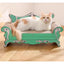 Cat Scratcher Queen Sofa Bed