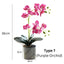 Artificial Orchid in Pot - Black Grey Stripe (44cm)