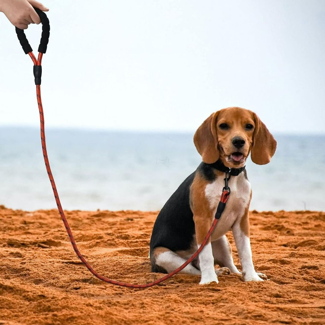 Dog Nylon Reflective Leash