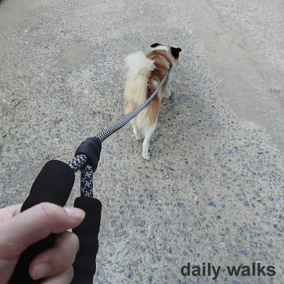 Dog Nylon Reflective Leash