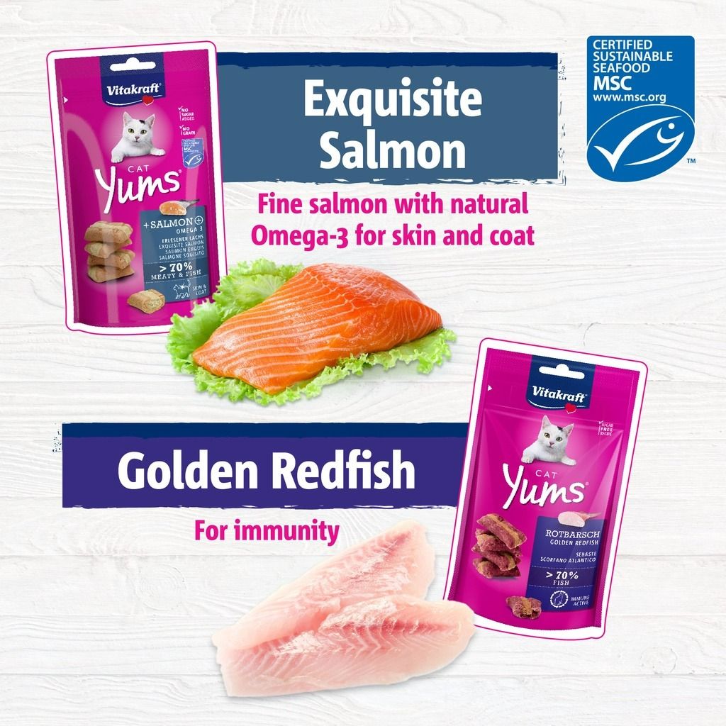 Vitakraft cat yums outlet salmon