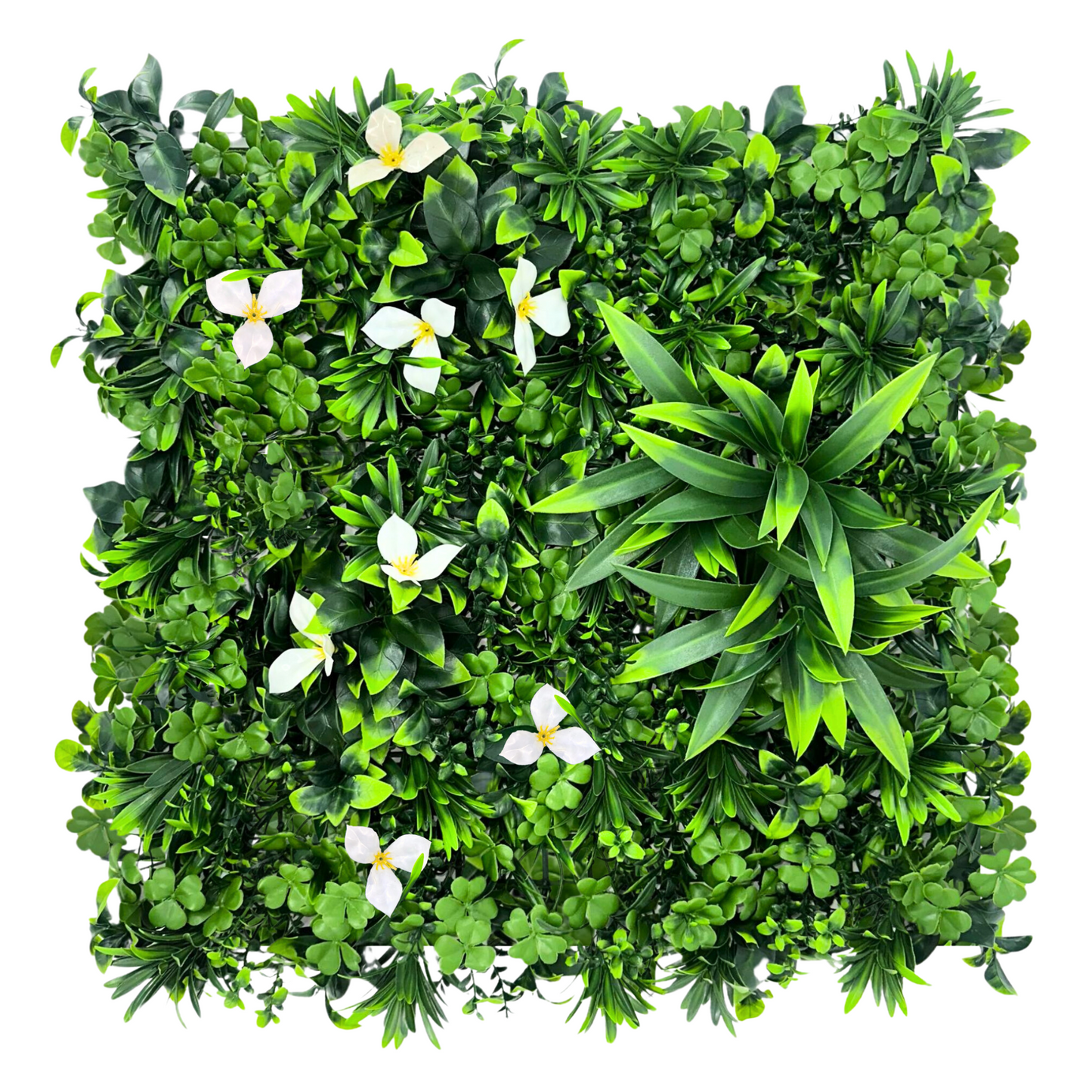 Artificial Assorted Wall Plants