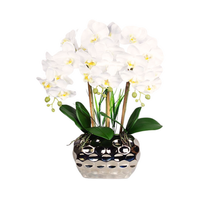 Artificial White Orchid in Pot - Sliver Ceramic Gold (44cm)