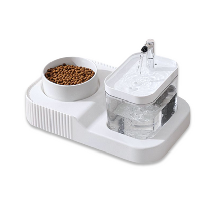 Smart Pet 2-in-1 Fountain & Feeder