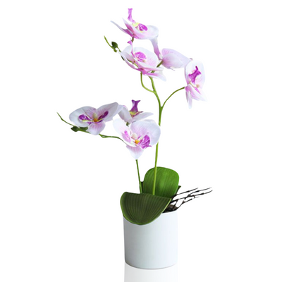 Artificial Orchid in Pot - White (34cm)