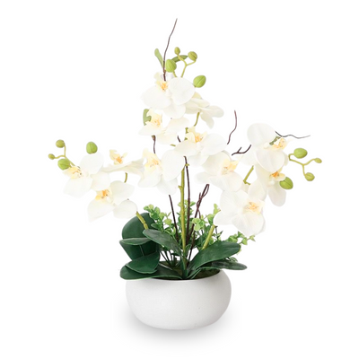 Artificial Orchid in Short Cylindrical Ceramic Pot - White (35cm)