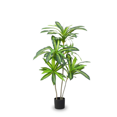 Artificial Dracaena Fragrans 120cm