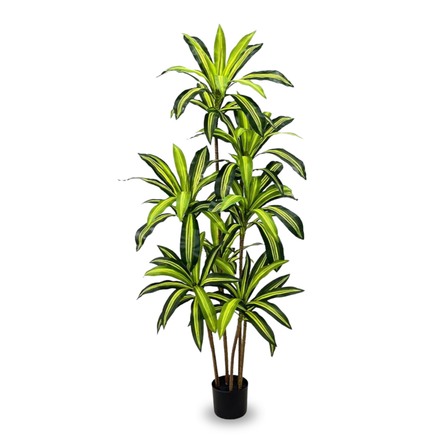 Artificial Dracaena Fragrans 170cm Height