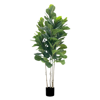 Artificial Fiddle Fig (4 stems) 170cm