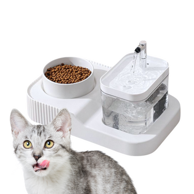 Smart Pet 2-in-1 Fountain & Feeder