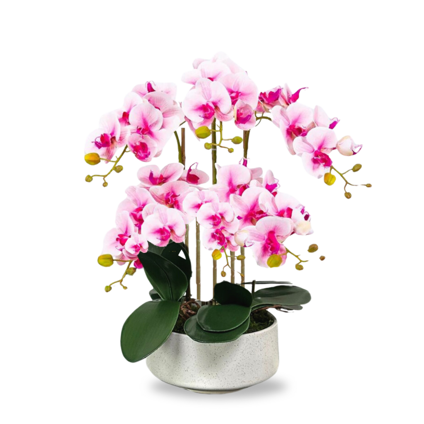 Artificial Pink Orchid (6 stalks) in Ceramic Pot - (60cm)