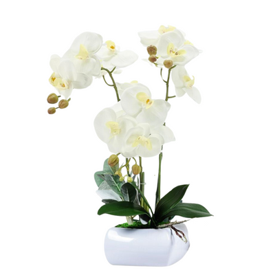 Artificial White Orchid in Ceramic Square Pot (53cm)