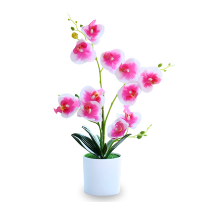 Artificial Orchid in White Plastic Pot - Pink/White/Purple (40cm)
