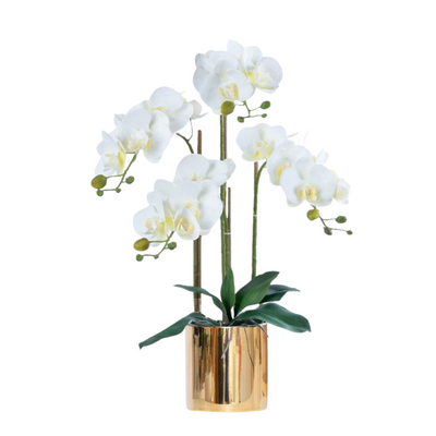 Artificial White Orchid (3/4 stalks) in Ceramic Gold Pot - (60cm)