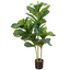 Artificial Fiddle Fig Plant - White/Green (120cm)