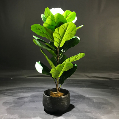 Artificial Medium Fiddle Fig Plant (70cm)