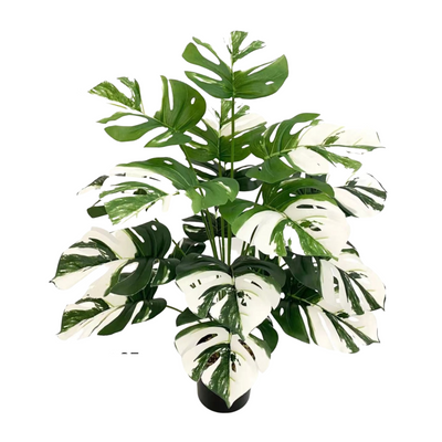 Artificial Medium Monstera Plant with White Edge (75cm)