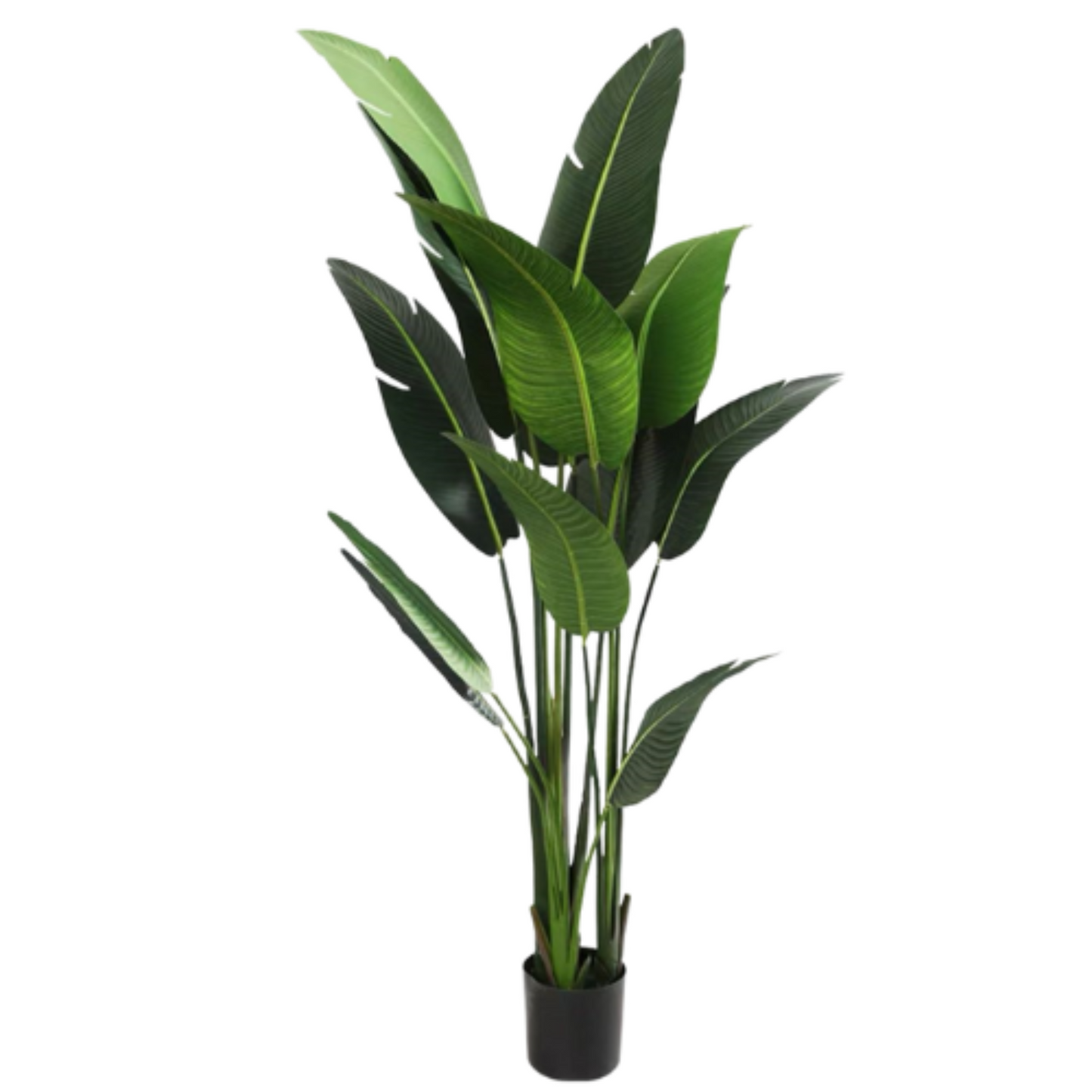 Artificial Travel Palm Tree (80-160cm)