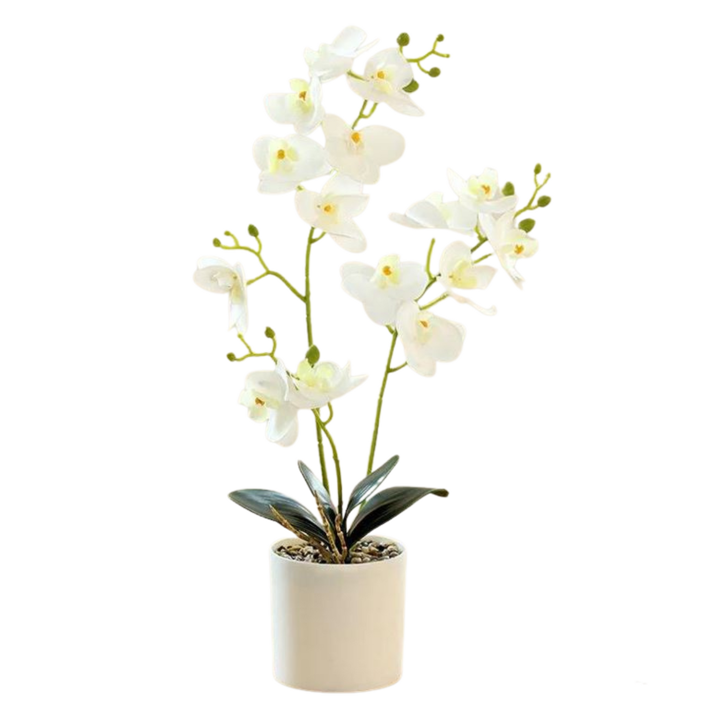 Artificial Orchid in Pot - White (44cm)