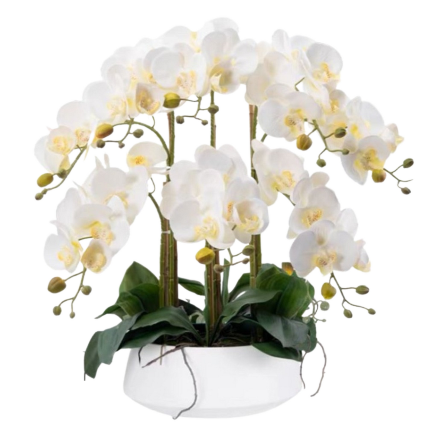 Artificial Orchid in Ceramic Pot - White (60cm)