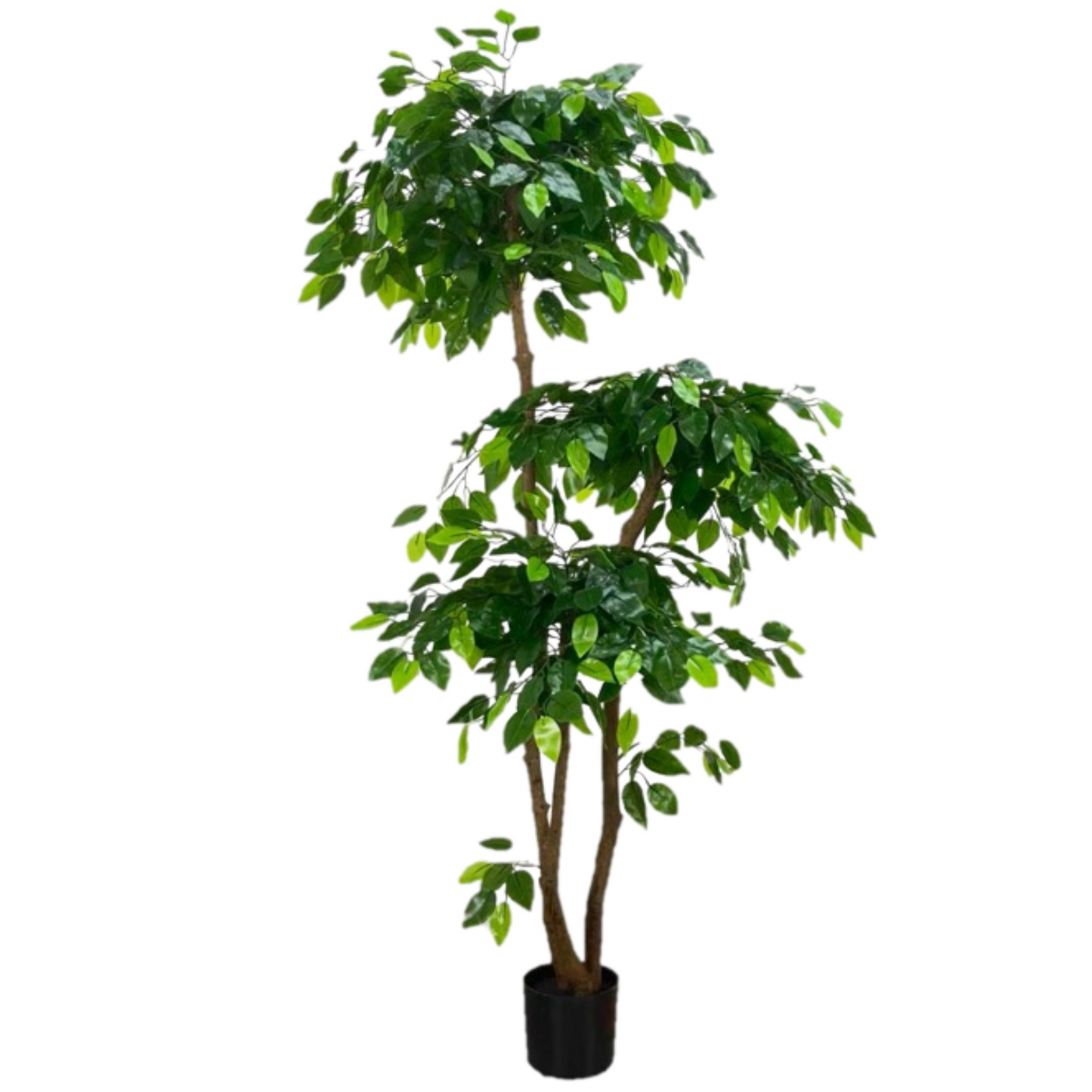 Artificial Ficus Microcarpa Tree (160cm)