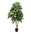 Artificial Money Plant Tree (160-168cm)