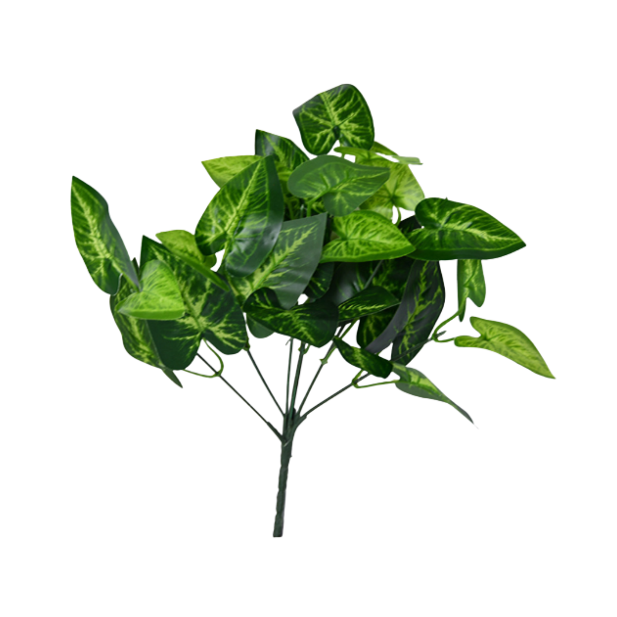 Assorted Wall Plants High Branch Trading Pte Ltd